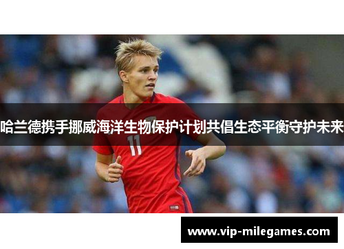 哈兰德携手挪威海洋生物保护计划共倡生态平衡守护未来 哈兰德携手挪威海洋生物保护计划共倡生态平衡守护未来