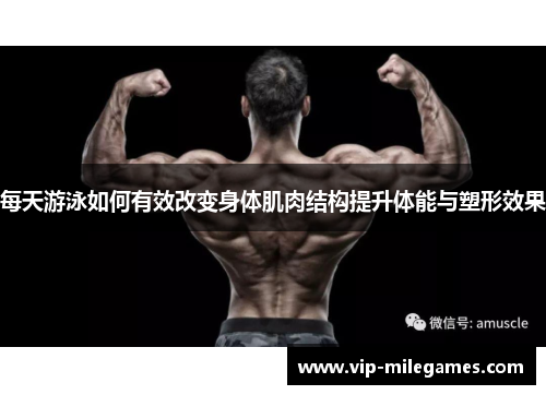 每天游泳如何有效改变身体肌肉结构提升体能与塑形效果