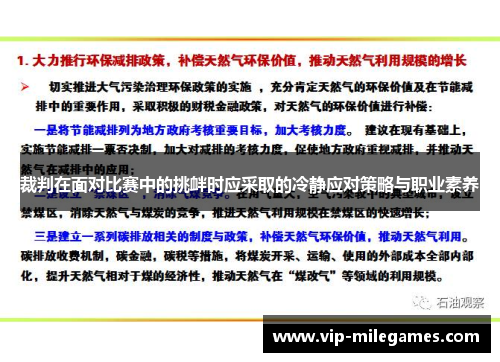 裁判在面对比赛中的挑衅时应采取的冷静应对策略与职业素养