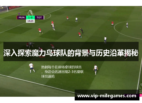 深入探索魔力鸟球队的背景与历史沿革揭秘 深入探索魔力鸟球队的背景与历史沿革揭秘