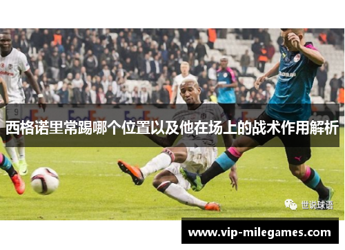 西格诺里常踢哪个位置以及他在场上的战术作用解析 西格诺里常踢哪个位置以及他在场上的战术作用解析