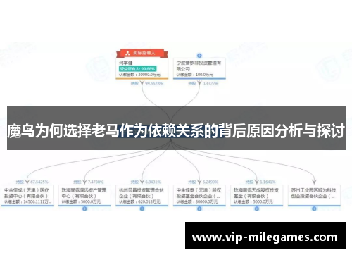 魔鸟为何选择老马作为依赖关系的背后原因分析与探讨